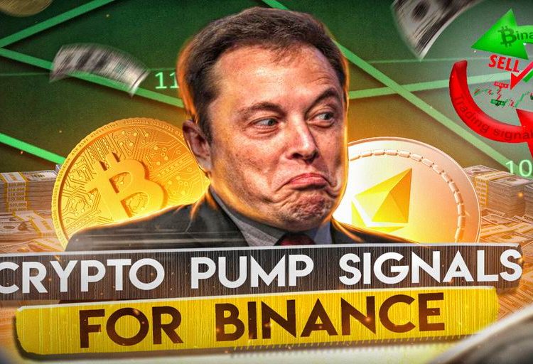 Trading signals about the upcoming pump on Binance from Telegram