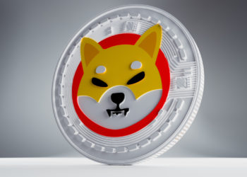 Google Trends Study Shows SHIB Is the Most Popular Crypto in the UK – Bitcoin News