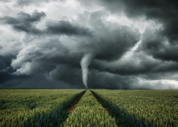 ETH Mixer Tornado Cash Reveals Blocking OFAC Sanctioned Ethereum Addresses via Chainalysis Oracle Contract – Bitcoin News