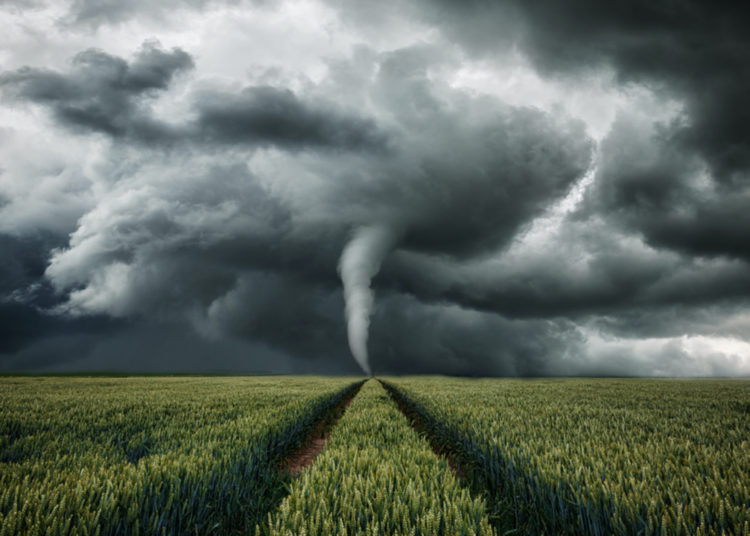 ETH Mixer Tornado Cash Reveals Blocking OFAC Sanctioned Ethereum Addresses via Chainalysis Oracle Contract – Bitcoin News