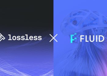FLUID PARTNERS WITH LOSSLESS TO BRING STATE-OF-THE-ART DEFI SECURITY AND HACK MITIGATION CAPABILITIES