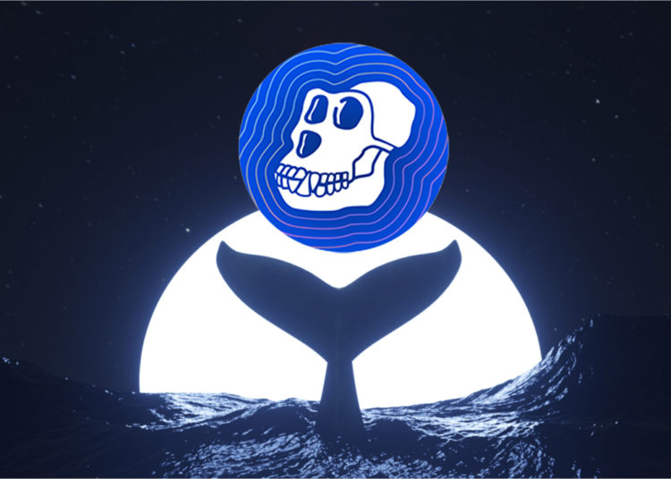 While Apecoin Reaches New Price Highs, Data Shows Top 100 APE Holders Control 52% of the Supply – Bitcoin News