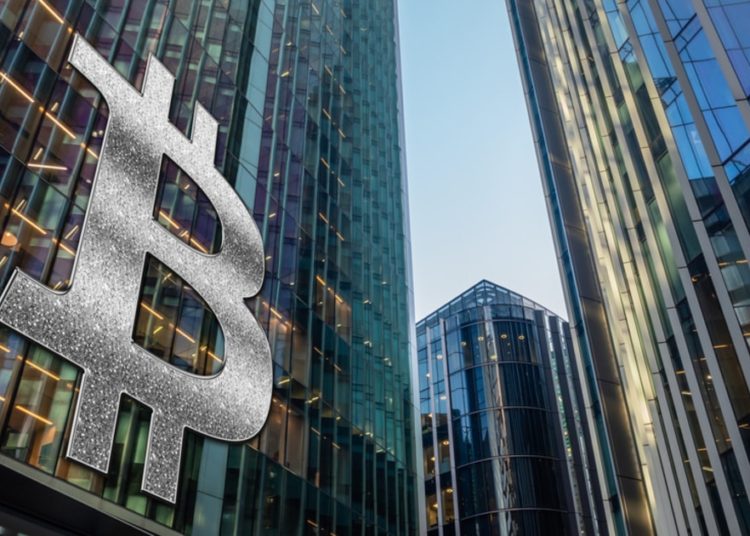 Crypto Experts Give Advice as the Digital Currency Industry Continuously Suffer from a Freefall