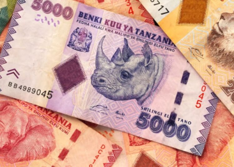The Bank of Tanzania to Introduce CBDC, Strengthening Domestic Payment System