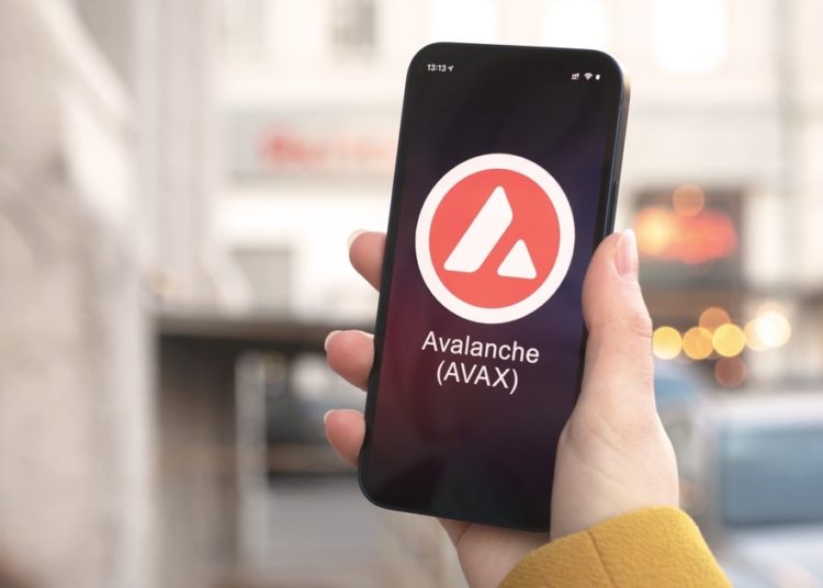 Terraform Labs, Luna Foundation Guard Bought 3.06m AVAX in total: Avalanche Foundation