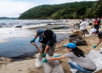 Dubai-Based Startup to Raise $1.2M NFT Fund to Clean Up Ocean Plastics Globally