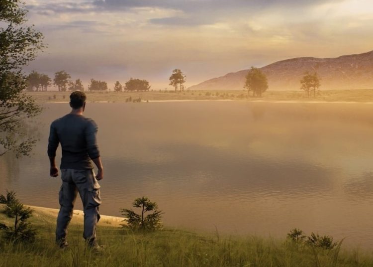 Animoca Brands Partners with Untamed Planet to Develop Untamed Metaverse