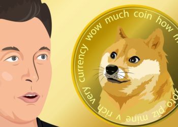 Musk Says SpaceX will Follow Tesla’s Lead in Adding DOGE Payments