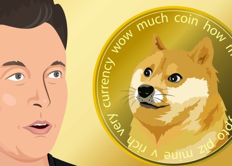 Musk Says SpaceX will Follow Tesla’s Lead in Adding DOGE Payments
