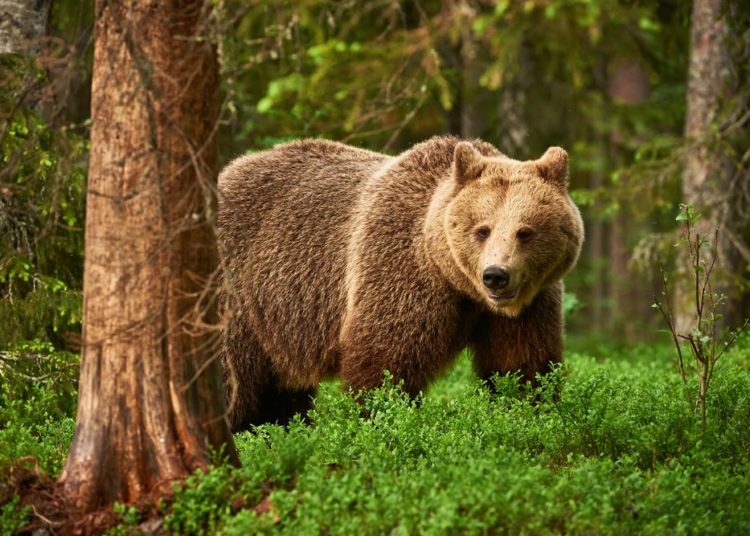 “We’re heading to a bear market worse than dot-com and 2008 crashes”