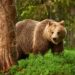 “We’re heading to a bear market worse than dot-com and 2008 crashes”