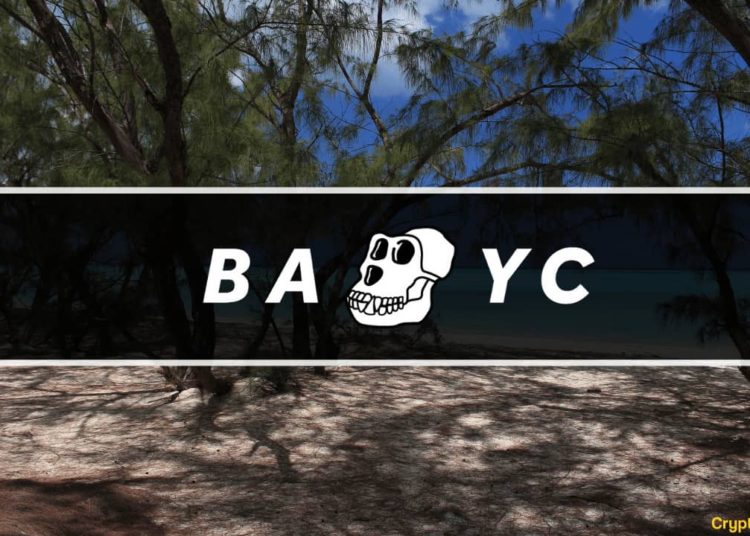 Yuga Labs’ NFTs Trading Volumes Slump Amid Crypto Selloffs