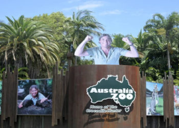 Australia Zoo Rolls Out NFT Project to Pay Tribute to Wildlife Warriors’ Conservation Efforts