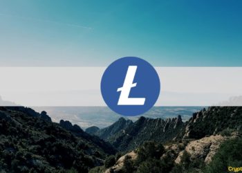 Litecoin Activates MimbleWimble Extension Blocks (MWEB)