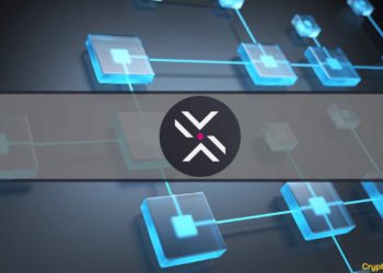 Polkadex Locks in Polkadot Parachain Slot by Allocating Nearly 1 Million DOT