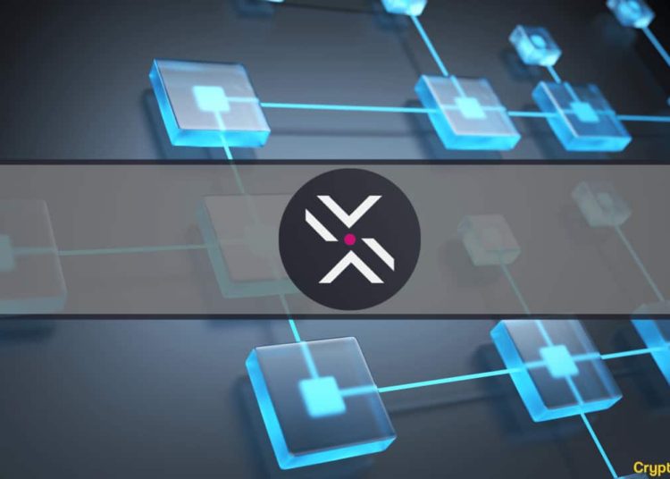 Polkadex Locks in Polkadot Parachain Slot by Allocating Nearly 1 Million DOT