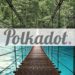 Polkadot XCM Format Goes Live, Enables NFT Functionalities