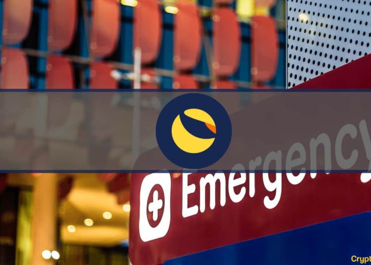 TFL Proposes Emergency Response to Counter Recent Collapse of Terra Ecosystem