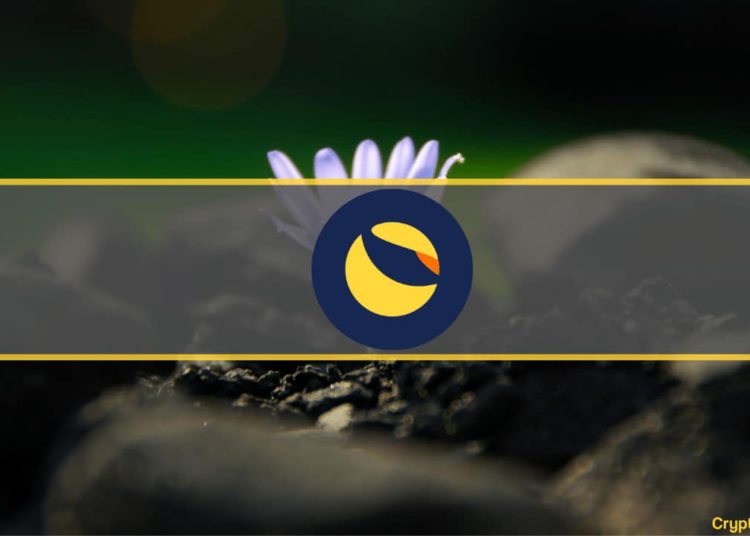 Here Are the Exchanges to Support the LUNA Airdrop