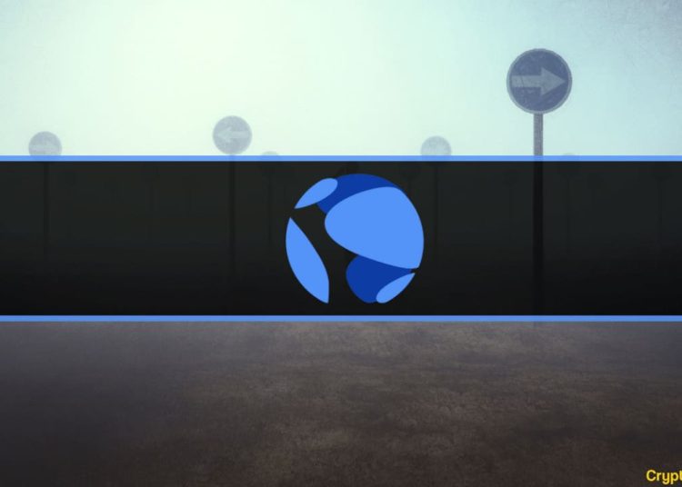 This Ukrainian Lost All Family Money Due to UST’s Collapse (Report)