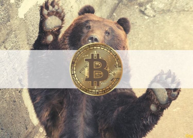 Bitcoin Collapses to 10-Week Lows, Binance Backs Musk’s Twitter Deal With $500M: This Week’s Crypto Recap