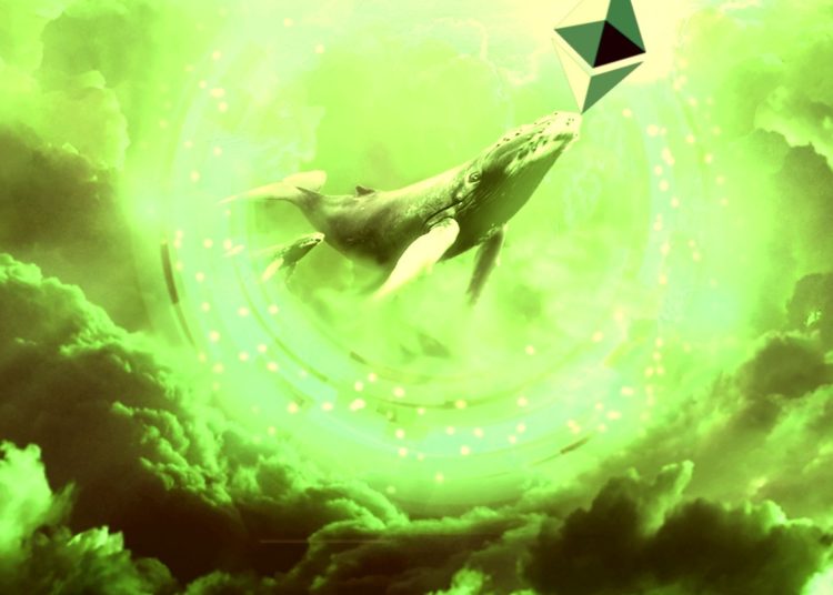 Ethereum Whales Have Accumulated $407,415,040 in ETH in Just 10 Days: Analytics Firm Santiment