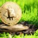ESG Study Shows Bitcoin Mining’s Potential to Eliminate 0.15% of Global Warming by 2045, Claims No Other Technology Can Do Better – Mining Bitcoin News