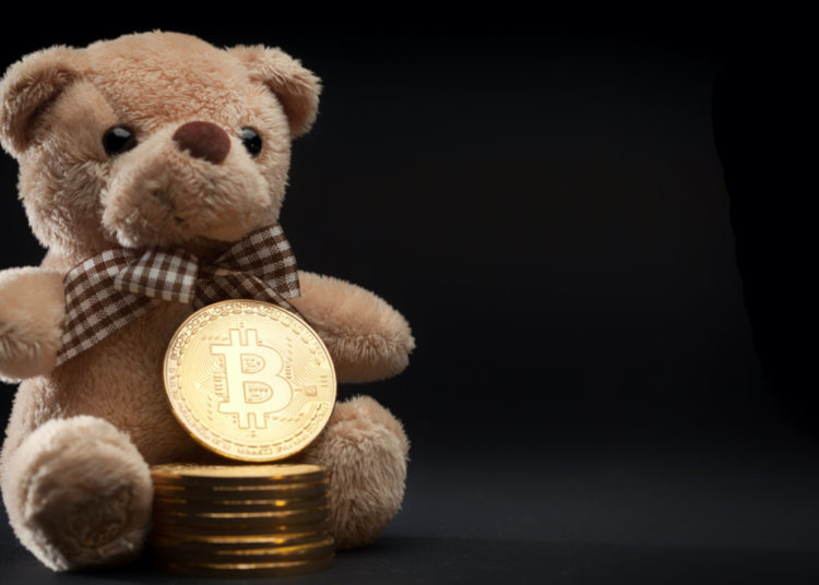 Recent Bitcoin Bull Run and Prior Run-up Data Suggests a Softer Bear Market Is in the Cards – Market Updates Bitcoin News