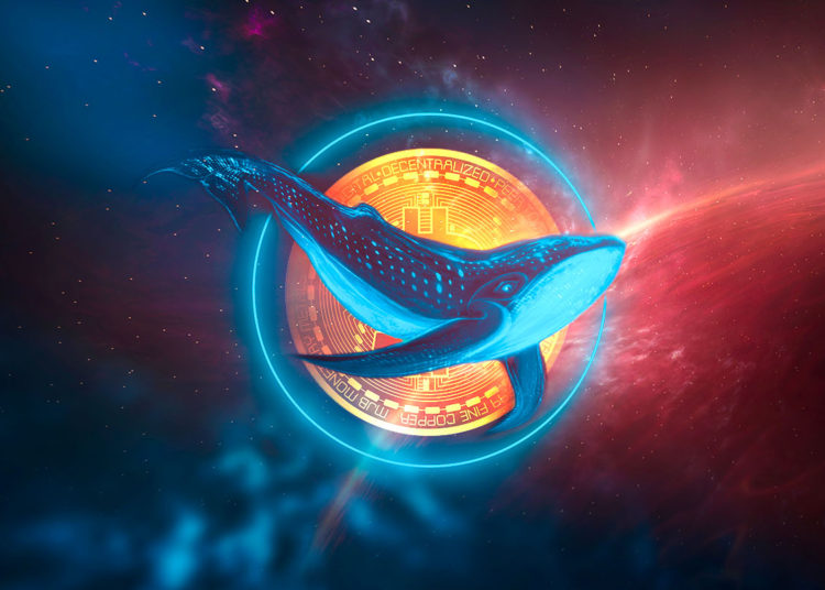 Whales Are Quiety Accumulating ApeCoin, Loopring and Five Additional Ethereum-Based Altcoins, According to WhaleStats