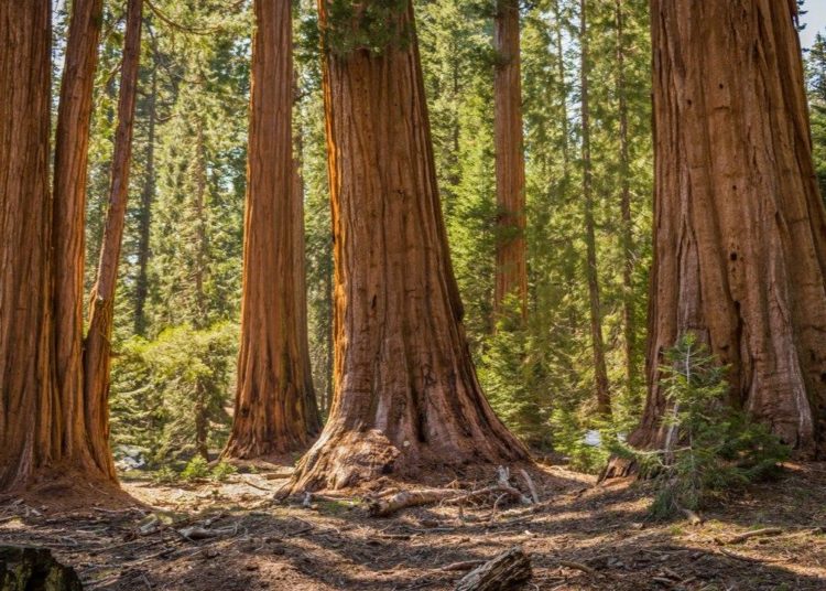 Sequoia Capital Partner Believes Lots of VCs Will Pull Back From Crypto – Bitcoin News