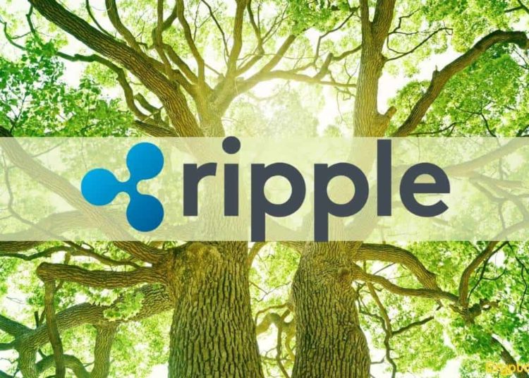 Ripple Commits $100M to Invest in Carbon Markets in its Latest Push for Sustainability