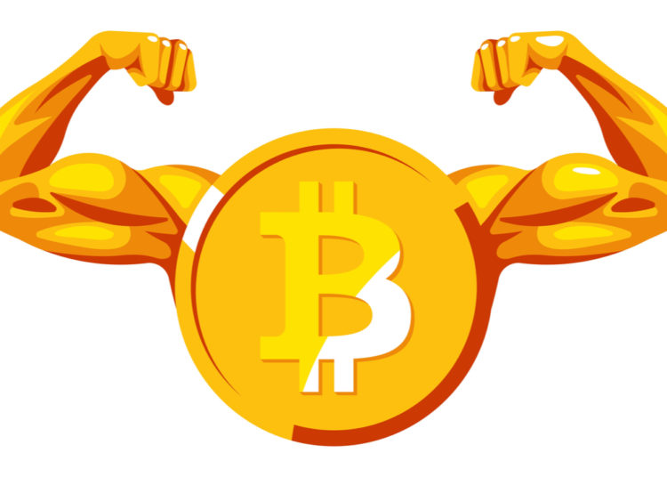 After the Terra LUNA Fallout, Bitcoin Dominance Climbs Higher While Ethereum’s Valuation Shrinks – Market Updates Bitcoin News