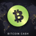Bitcoin Cash to Include Bigger Integers and Native Introspection in Upcoming Upgrade – Bitcoin News