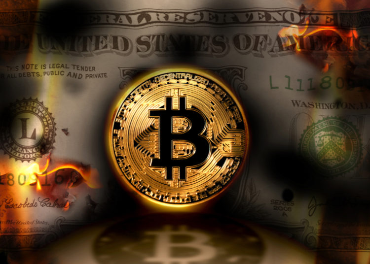 Musk and Goldman Sachs’ Blankfein Weigh In; Galaxy Digital’s CEO Talks on Terra Collapse — Bitcoin.com News Week in Review – The Weekly Bitcoin News