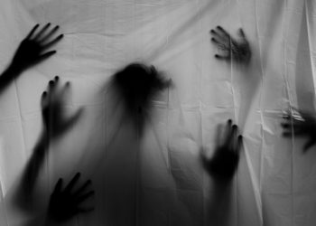 The Terra LUNA horror stories