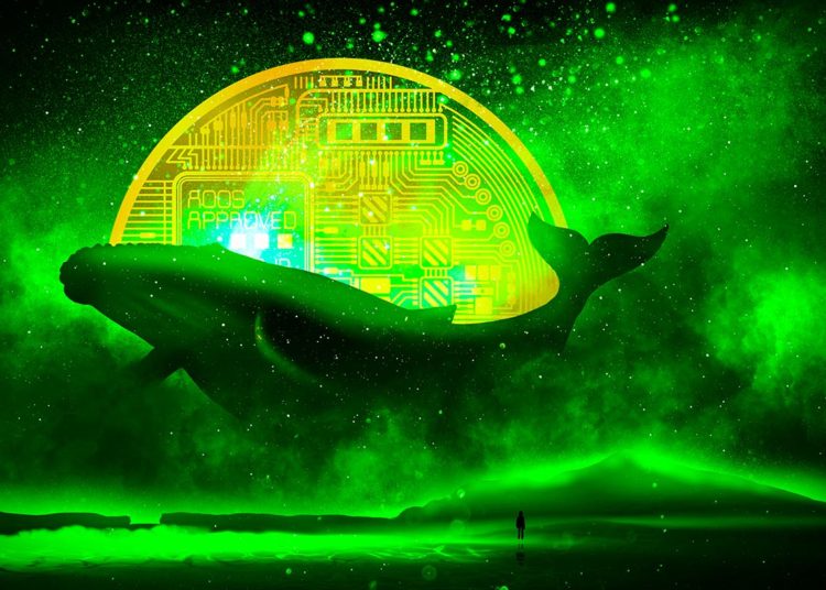 Ethereum Whales Are Loading Up on Three Metaverse Projects and Two Ethereum Altcoins, According to On-Chain Analysis