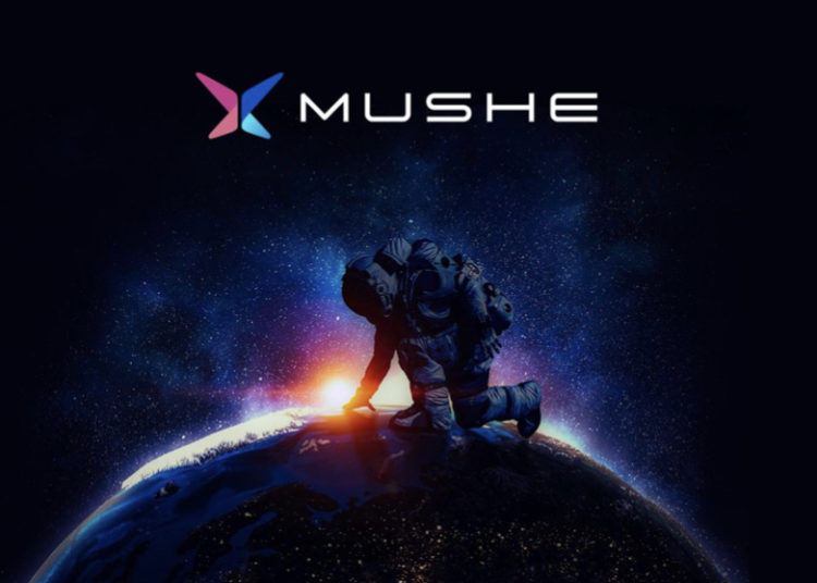 Can Mushe (XMU) compete with the amazing successes of Dogecoin (DOGE) and Polkadot (DOT)?