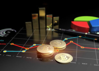 Bitcoin $30K Resilience Amid Crypto Meltdown and Stablecoin Crash Shows its Brilliant Architecture – PayBito CEO