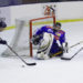 NHL Partners with Sweet for Digital Collectibles NFTs Marketplace
