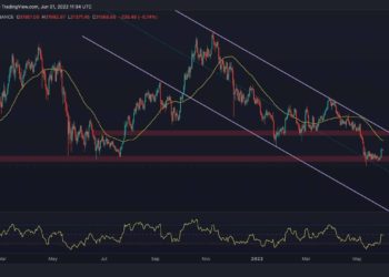 Bitcoin Price Analysis: BTC Struggles to Maintain Gains, is $30K Retest Inbound?