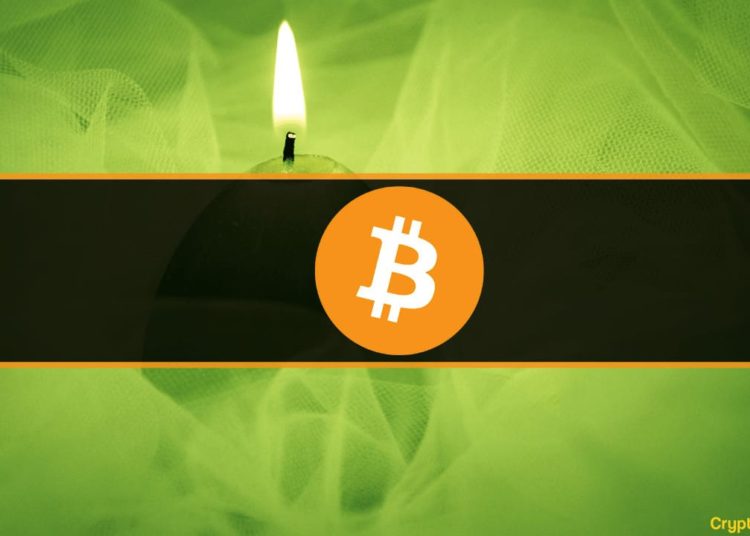 Change of Direction? Bitcoin Finally Ended its Longest Ever Sequence of 9 Red Weeks