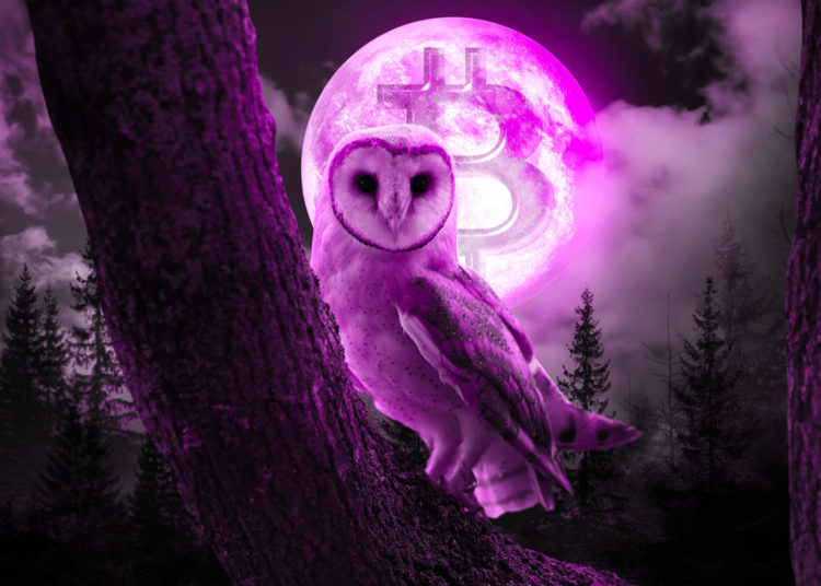 Institutional Investors Flock to Safety of Bitcoin As Altcoins See Almost No Capital Flows: CoinShares