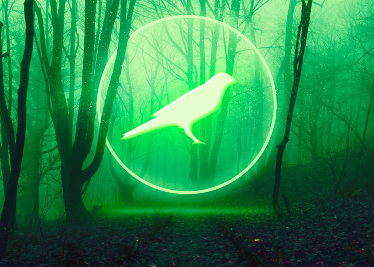 Polkadot (DOT) Test Network Kusama (KSM) Falters Despite Surprise Coinbase Listing Announcement