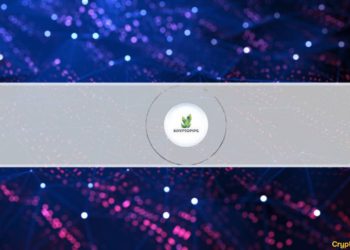 IWS FinTech Creates KryptoPips – The World’s First Multi-Broker Rewards Coin