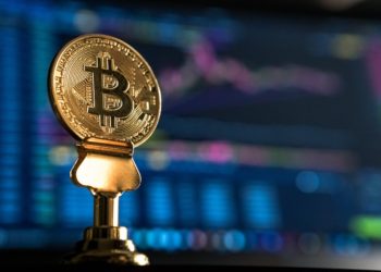 Tips on how to survive this brutal bear market