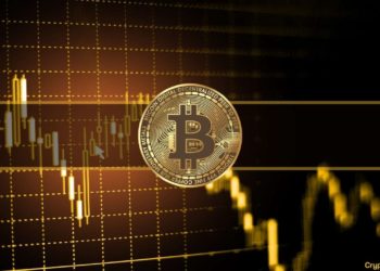 Bitcoin Was in This Undervalued Territory Only 3% of Its Existence