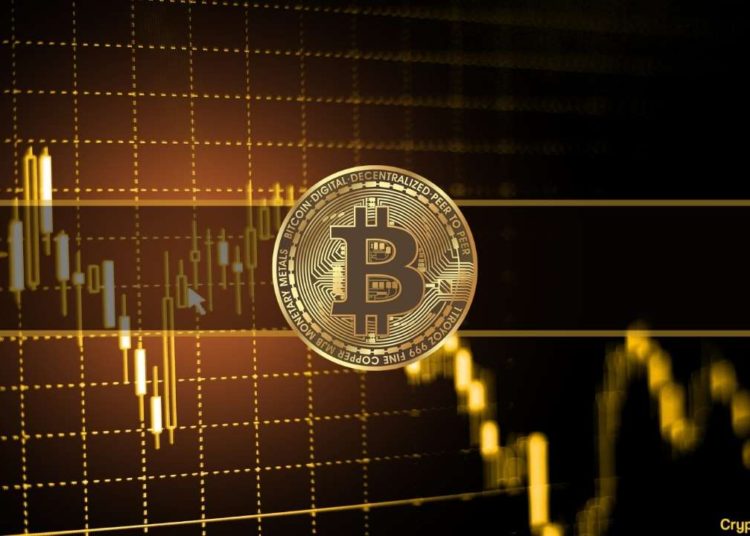 Bitcoin Was in This Undervalued Territory Only 3% of Its Existence