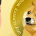 “Dogecoin Pyramid Scheme”: Elon Musk Sued For $258B