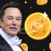Tesla CEO Elon Musk Confirms He’ll Keep Buying and Supporting Dogecoin – Altcoins Bitcoin News