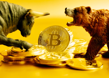 Only Top-Tier Cryptocurrencies Will Survive 2022. Here’re Some Of The Best: Bitcoin (BTC), Cardano (ADA), Gnox Token (GNOX), Dogecoin (DOGE), And Fantom (FTM)